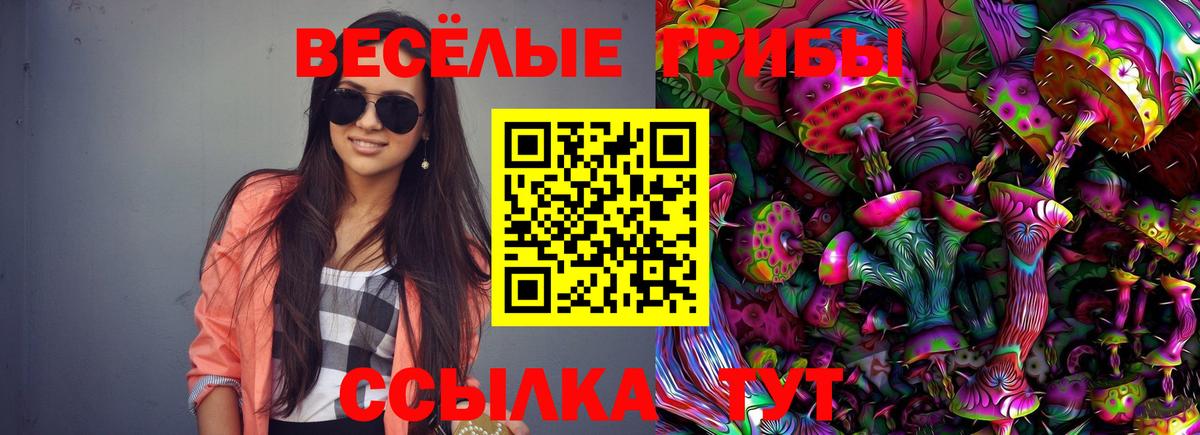 Скопин  Псилоцибиновые грибы Psilocybine cubensis  Псилоцибиновые грибы Psilocybe  купить наркотик  Вход с VPN 